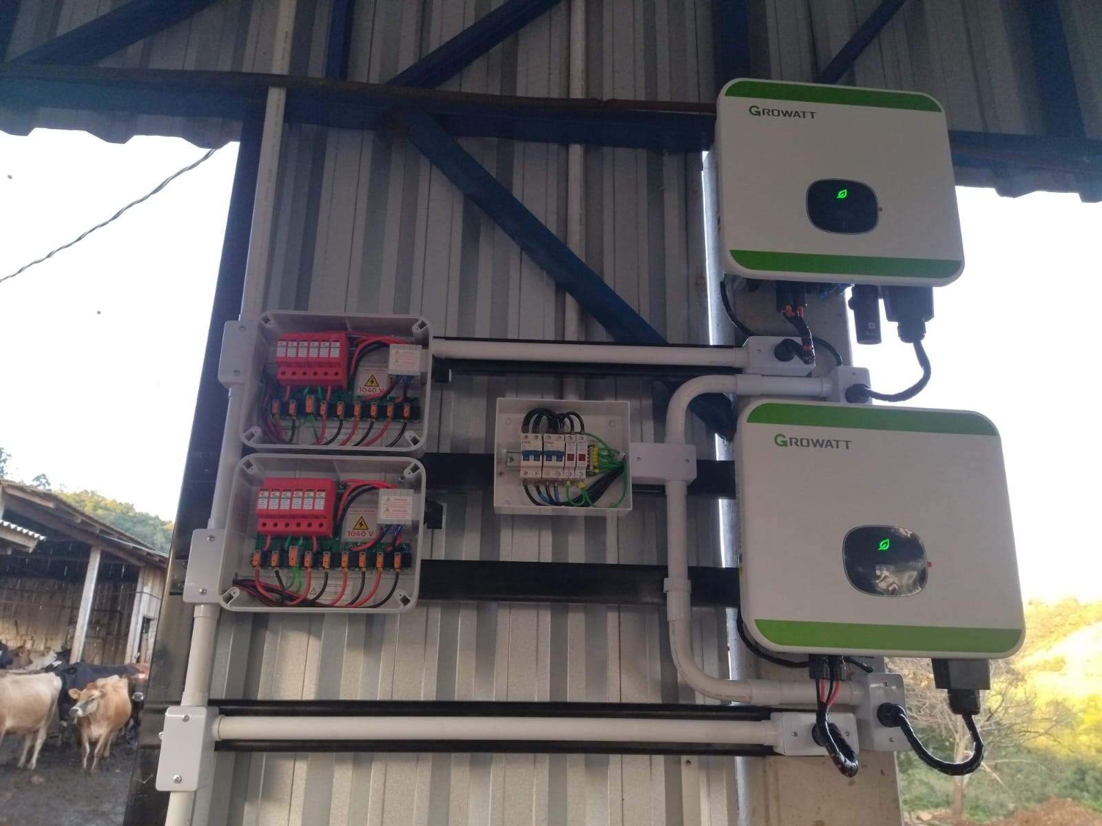 99d7f4f1-d9a9-48a3-831b-29897b79dfcc (1).jpeg